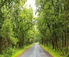 bhubaneswar_road-min_629.webp