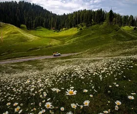 kashmir-in-summer-410.webp