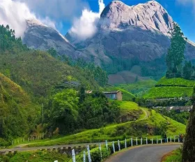 munnar_hills_499.webp