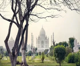 taj_mahal_garden_view-min_624.webp